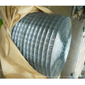 High Quality Welded Wire Mesh in Low Price